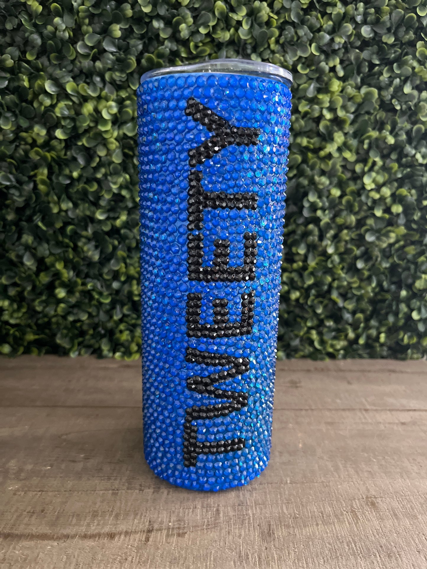 Tweety Bird Rhinestone Tumbler 20oz (Copy)